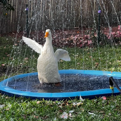 Inflatable Dog Splash Pool