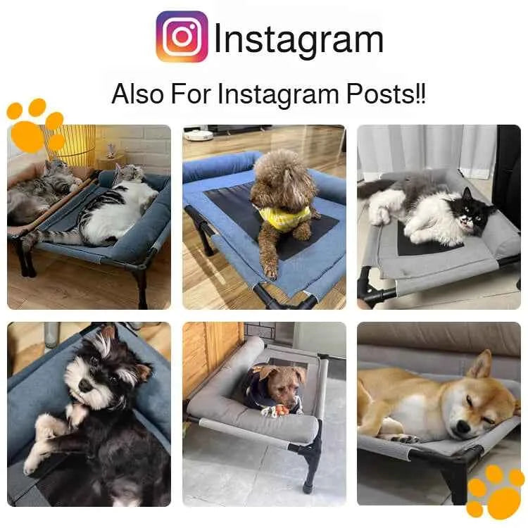 Pet Canopy Bed