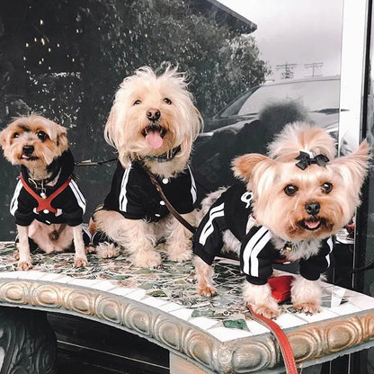 Doggy Sweat suit
