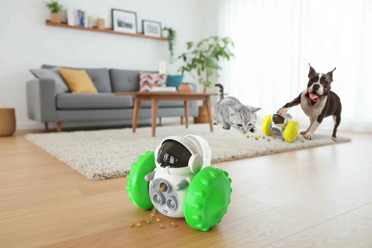 Pet Treat Dispenser