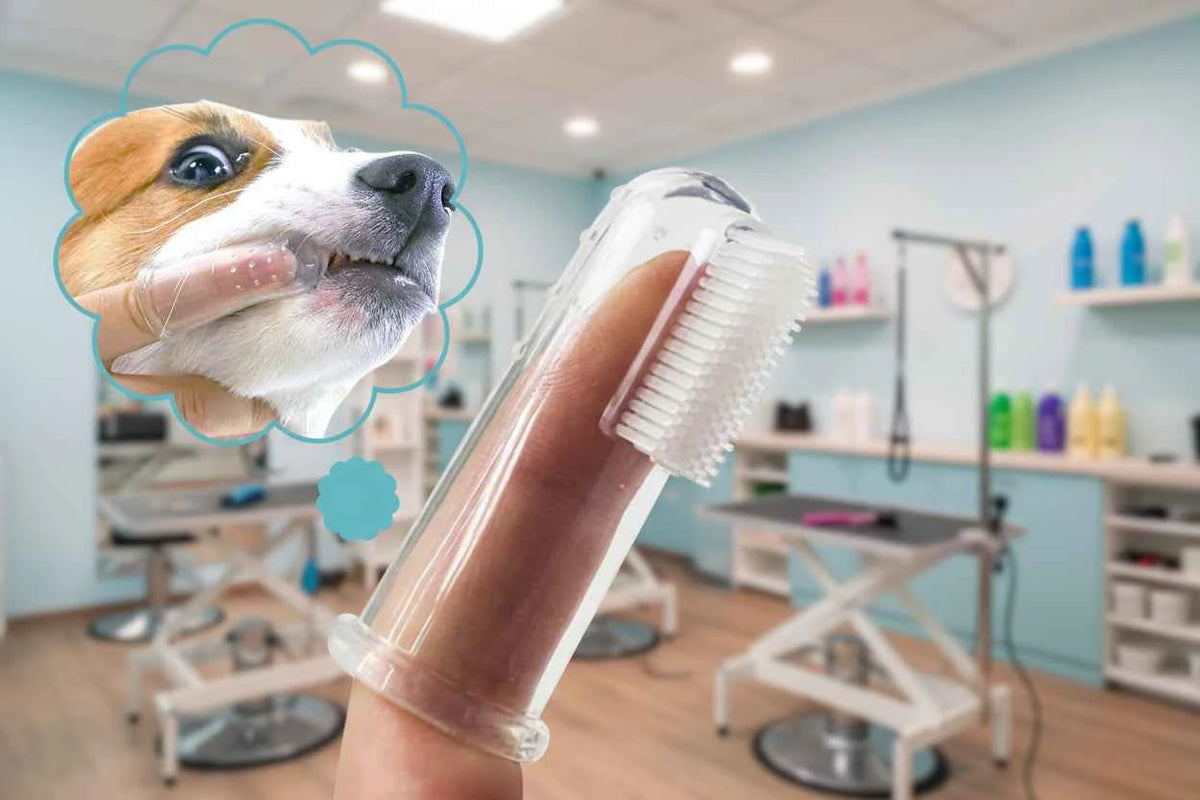 Plastic Finger Toothbrush