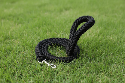 Large Breed Nylon Leash