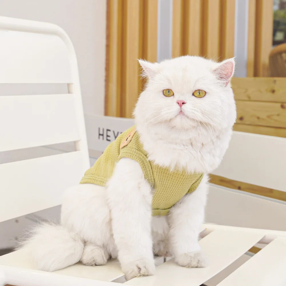 Cat Clothes Waffle Bear Pet Vest Summer Teddy Chihuahua Small Dog Two legged Clothes Cat Puppy Clothes Pet Costume