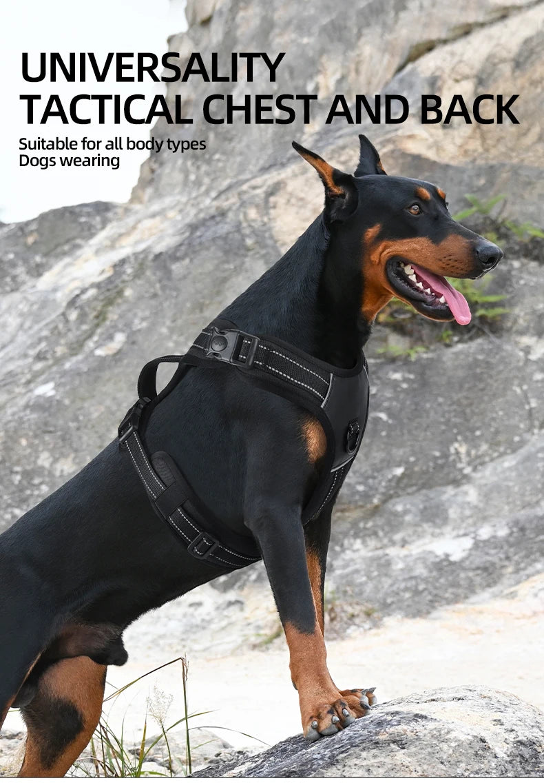 Large Breed Tactical Harness