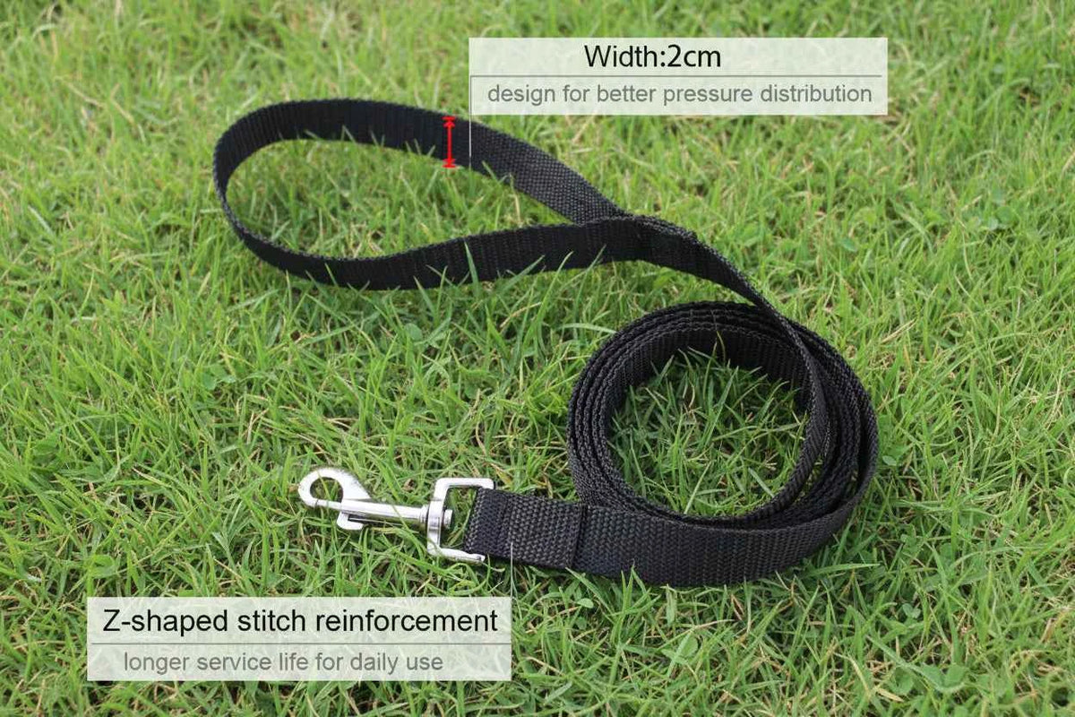Standard Nylon Leash