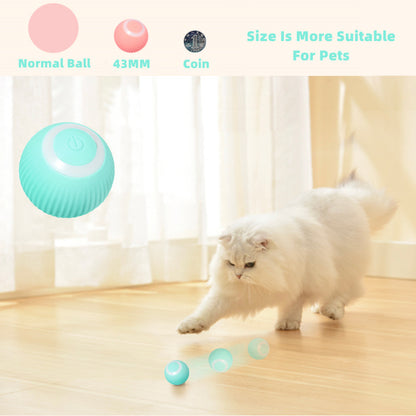 Electric Fetch Ball
