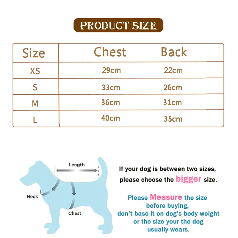 Cat Summer Shirt - Waggy World