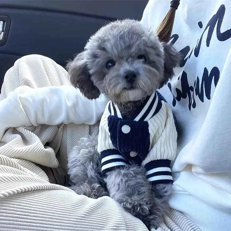 Cute Embroidered Pet Baseball Jackets