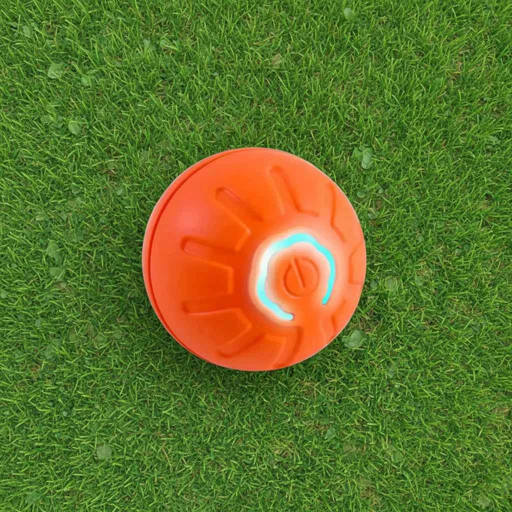 Pet Gravity Ball