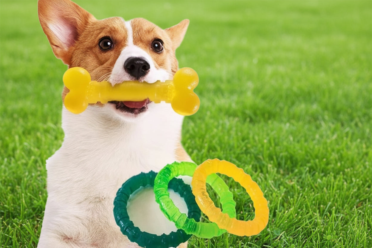 Rubber Dog Bone