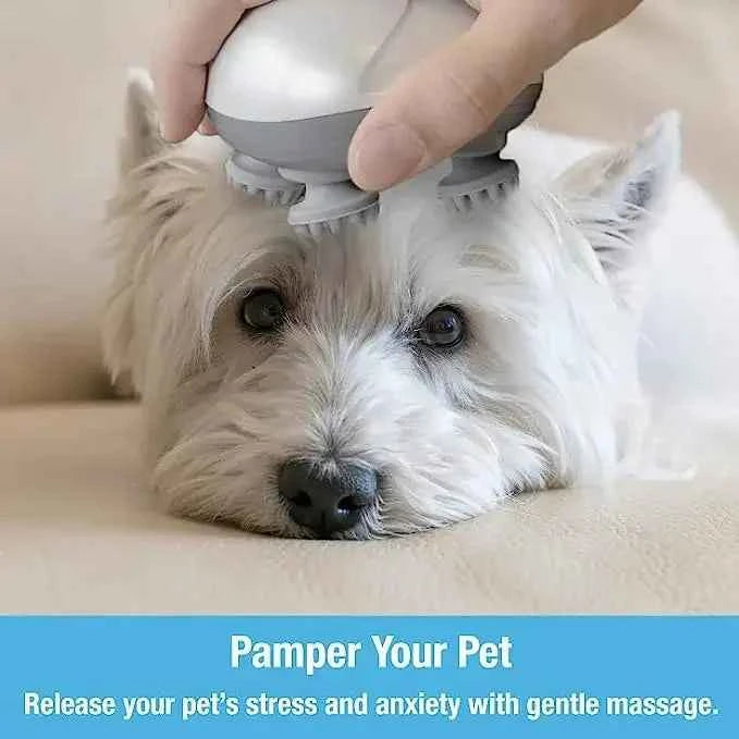 Electric Pet Messager - Keep Your Pets Engaged and Happy
