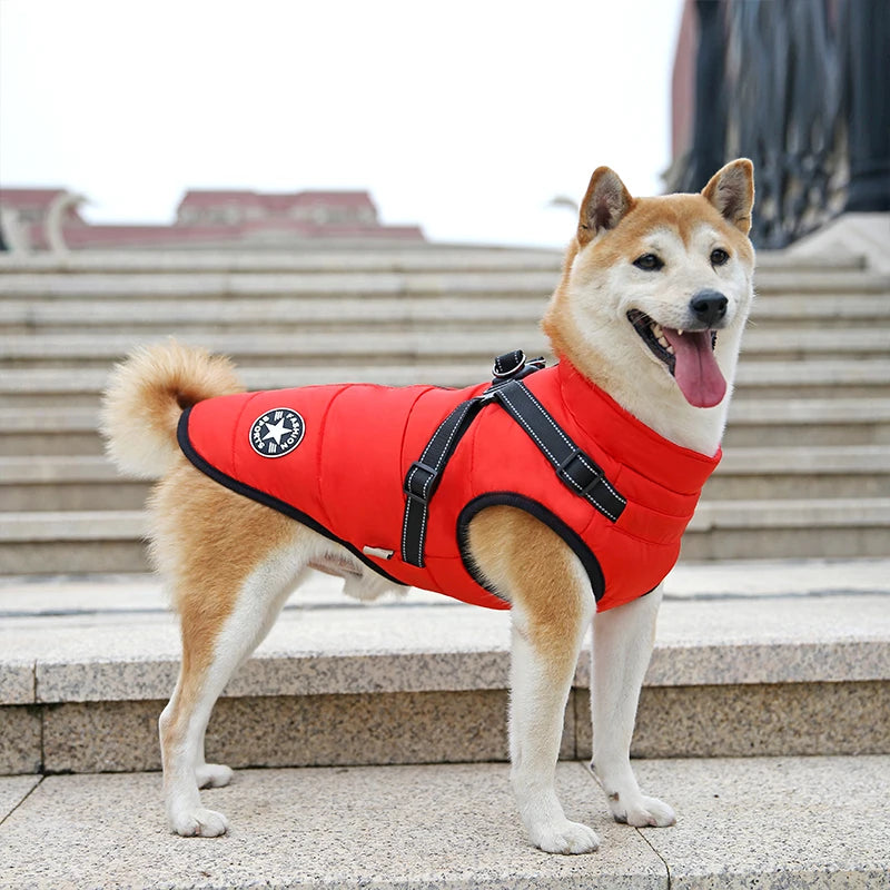 Waterproof Dog Winter Jacket with Harness - Waggy World
