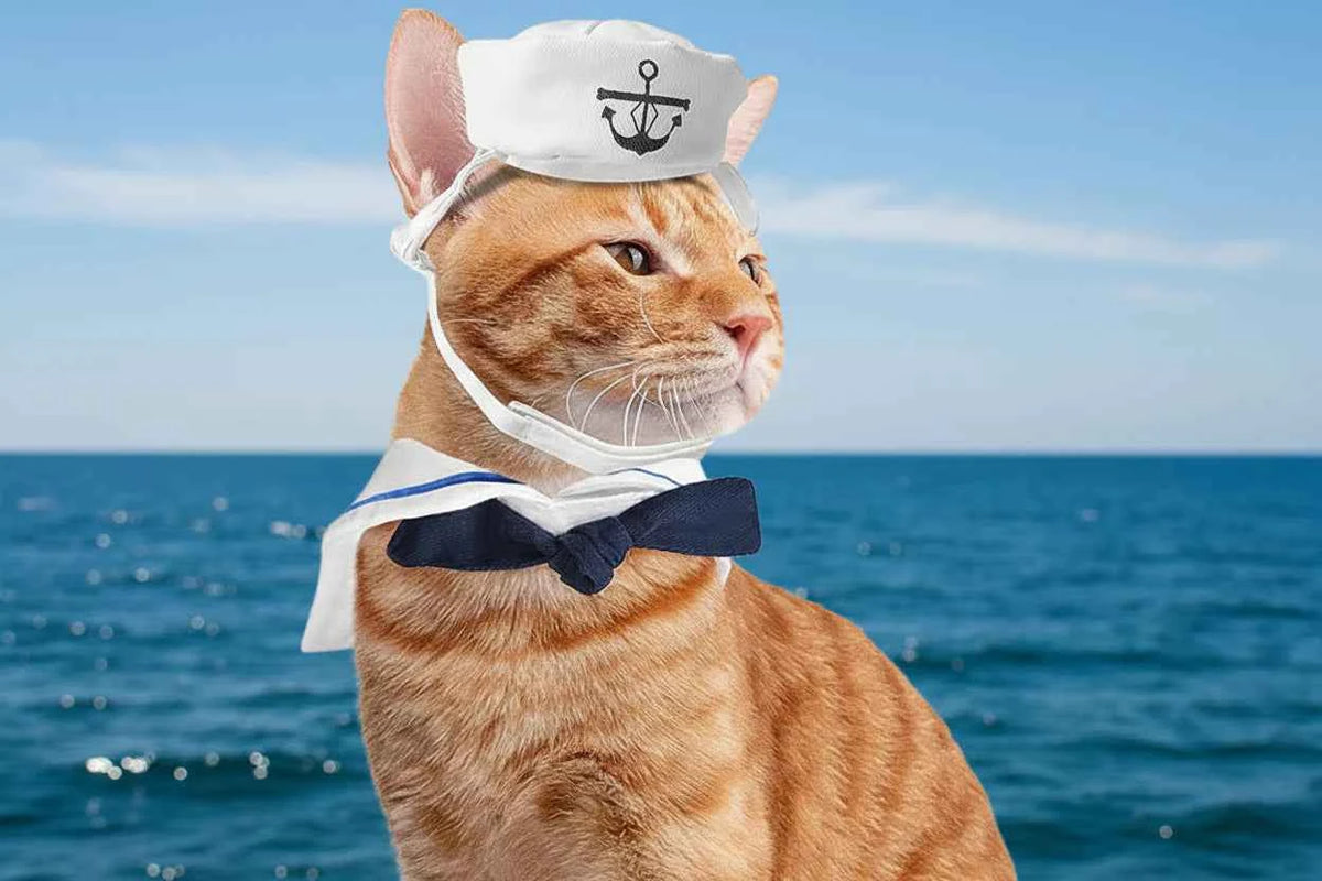 Pet Sailor Costume