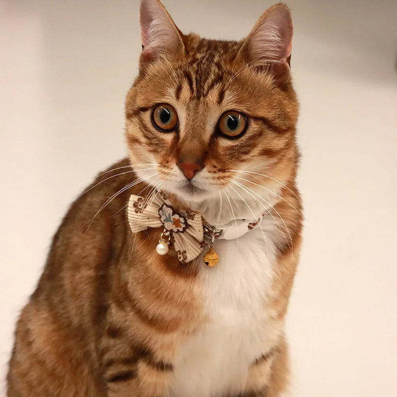 Feline Flower Collar