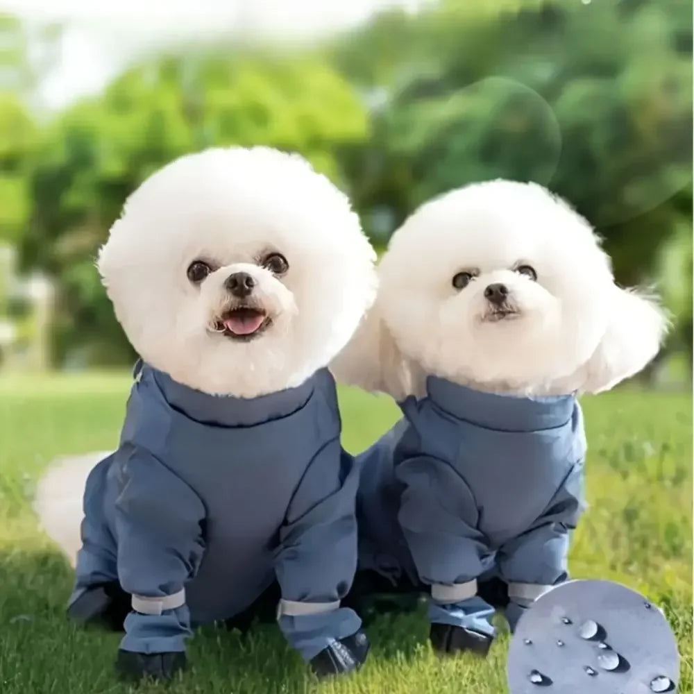 Adjustable Dog Shoe Gaiters - Waggy World