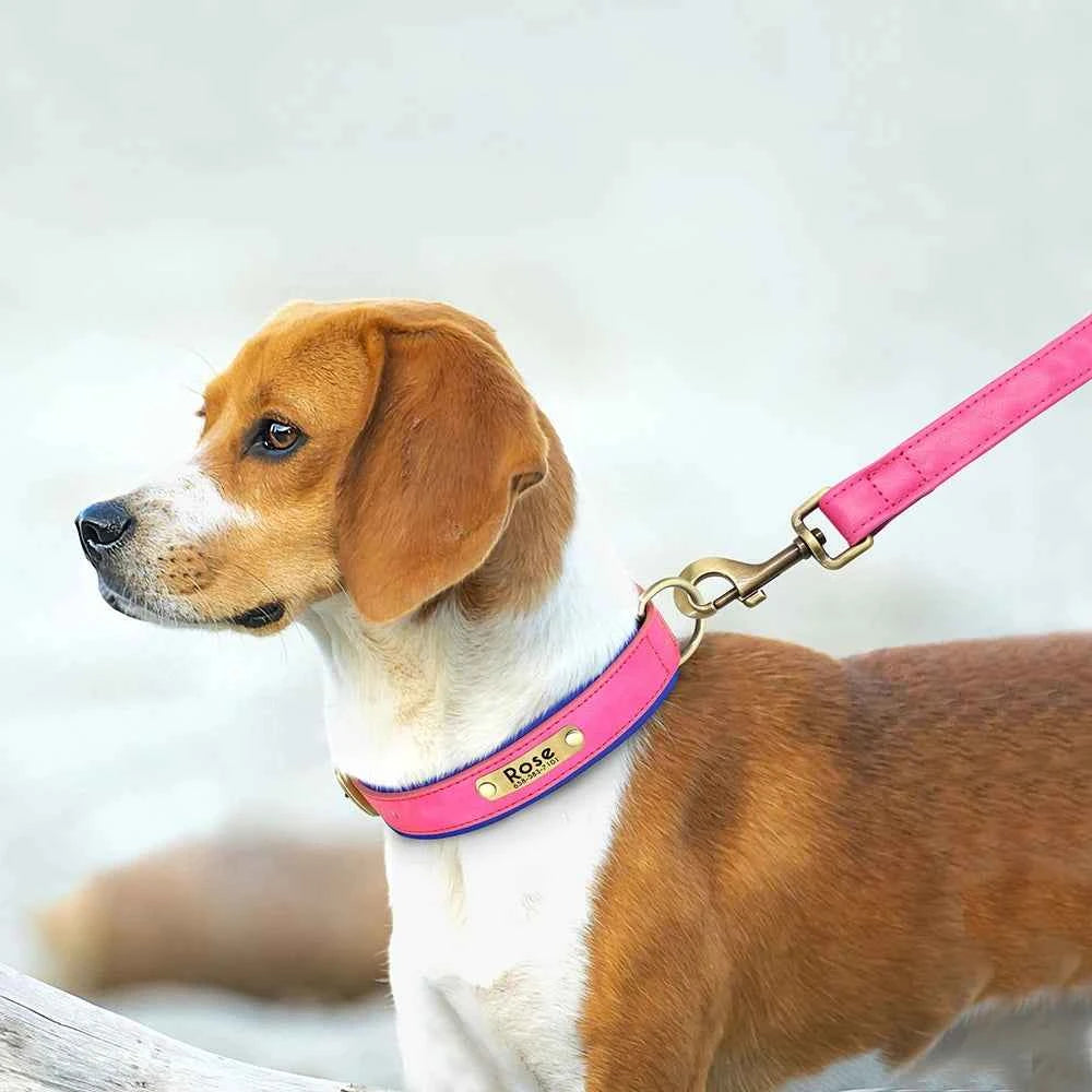 5 FT. Leather Leash
