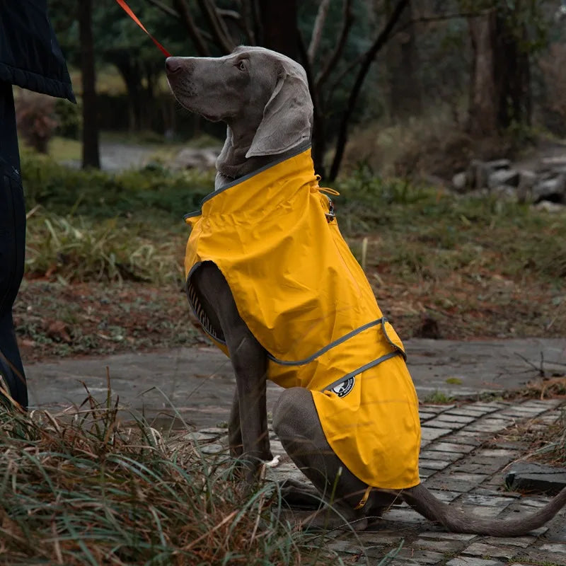 Pet Outdoor Waterproof Jacket