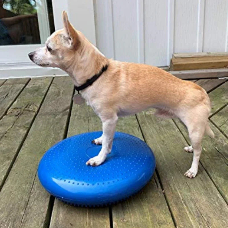 Flying Disc Dog Toy - Waggy World