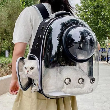 Transperant Cat Carrier
