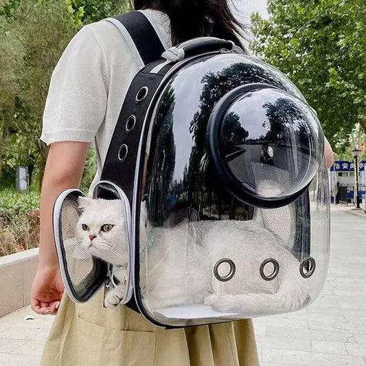 Transperant Cat Carrier