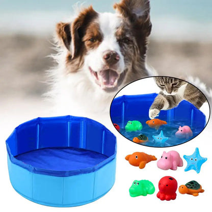 Kitty Play Pool