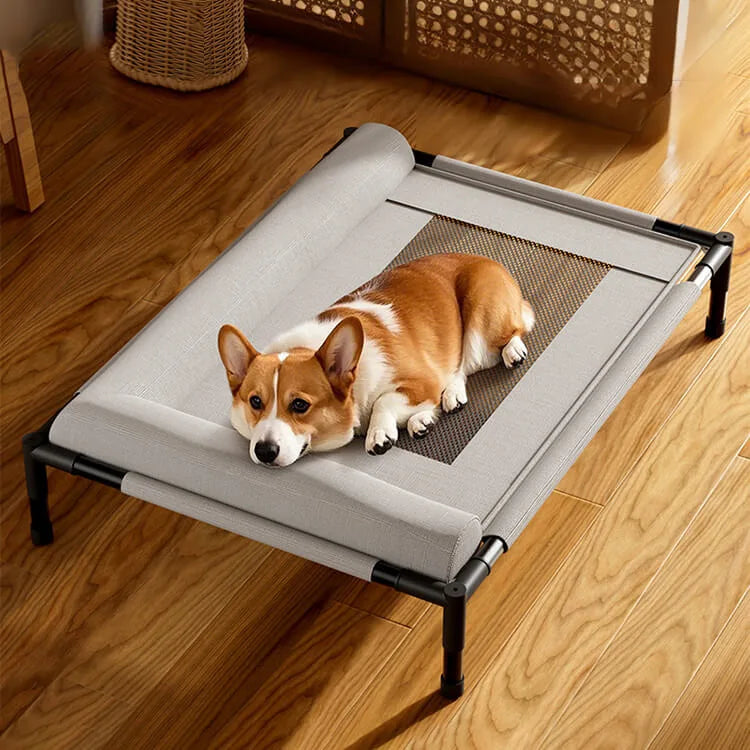 Pet Canopy Bed