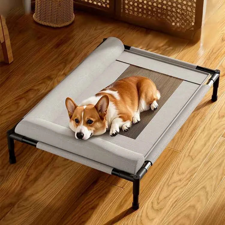 Pet Canopy Bed