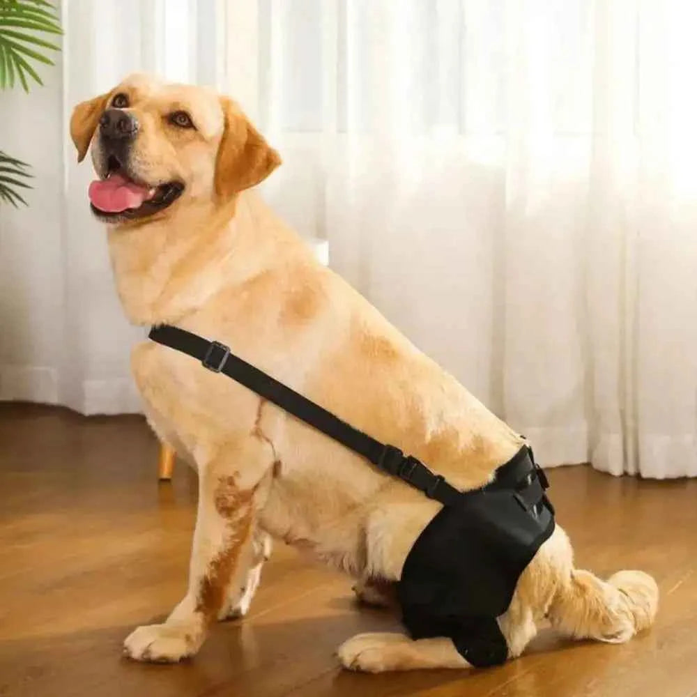 Dog Leg Support Brace