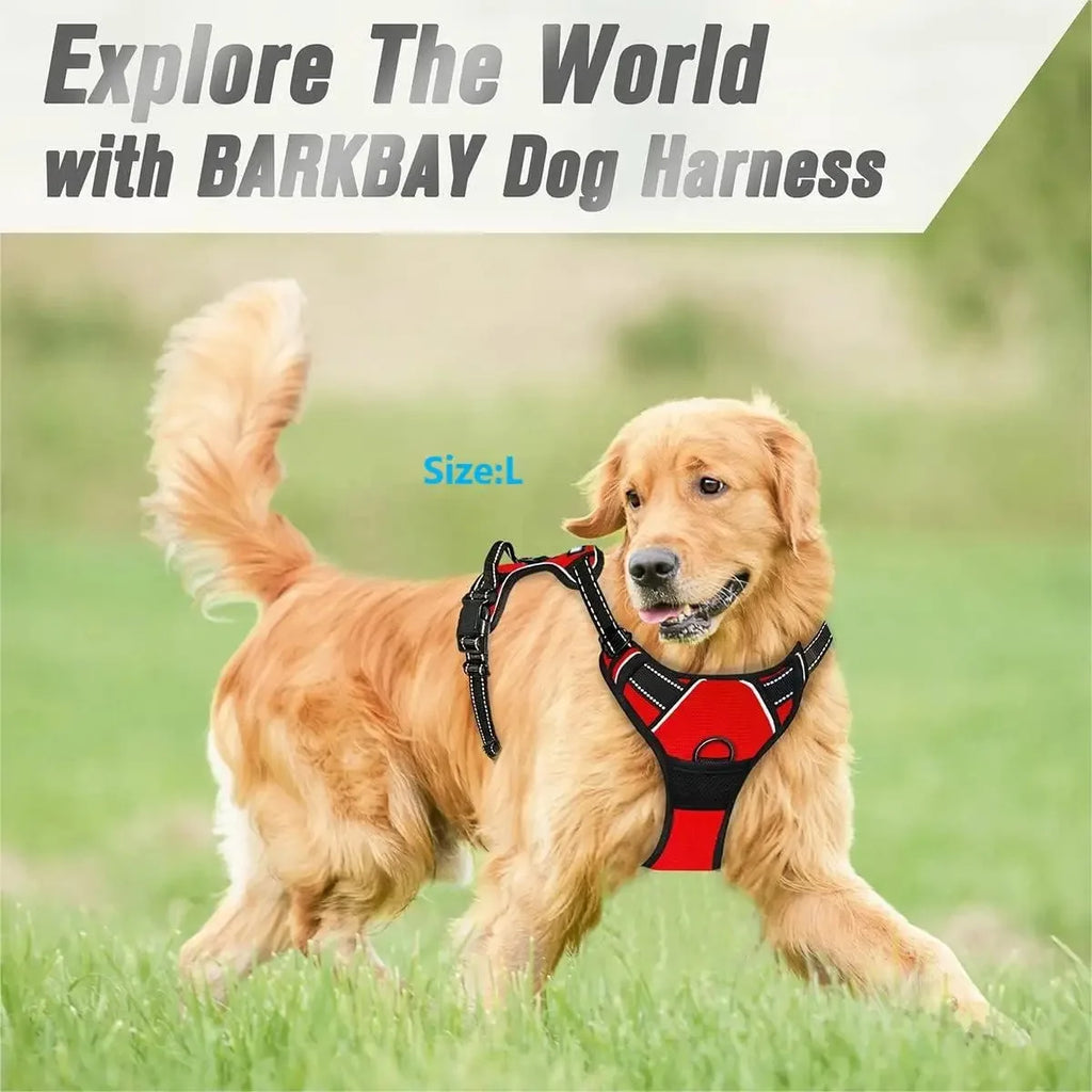Dog Harness Collar & Leash Set Adjustable Harness
