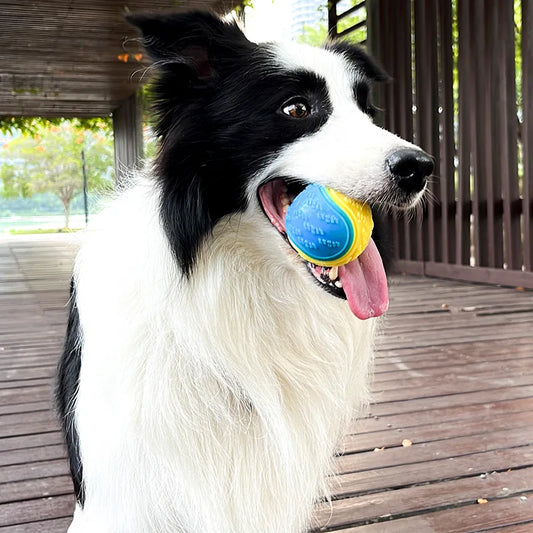 Pet Rubber Fetch Ball