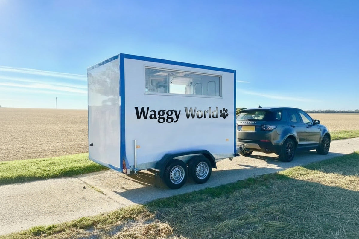 Customized Mobile Pet Grooming Trailer - Waggy World