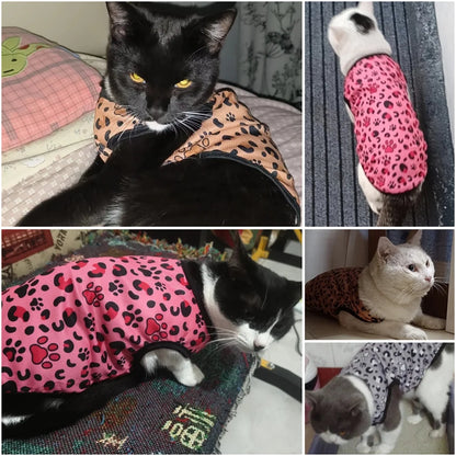 Leopard Print Cat Suit
