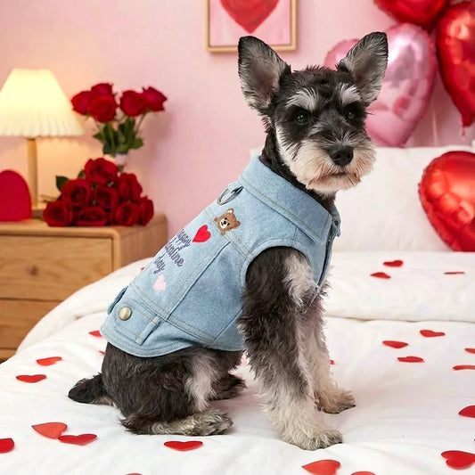 Pet Denim Valentine Vest