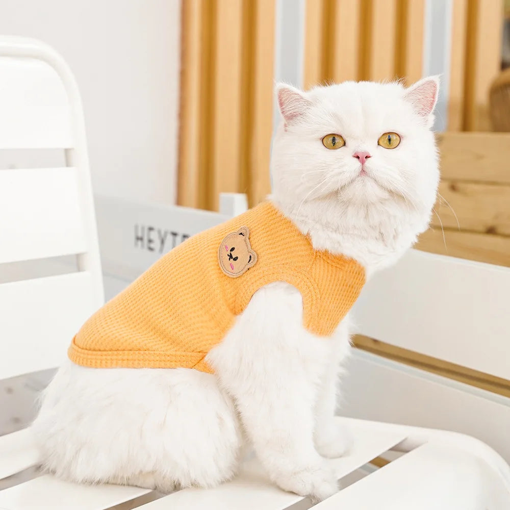 Cat Clothes Waffle Bear Pet Vest Summer Teddy Chihuahua Small Dog Two legged Clothes Cat Puppy Clothes Pet Costume