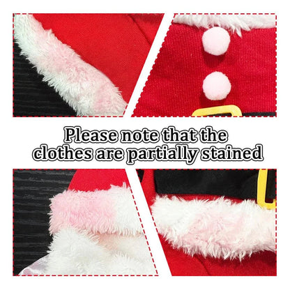 Cat Holiday Santa Suit
