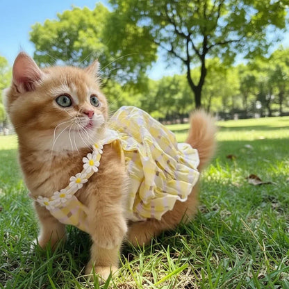 Kitty Summer Dress