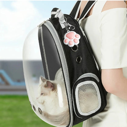 Rechargeable Laser Pet Toy