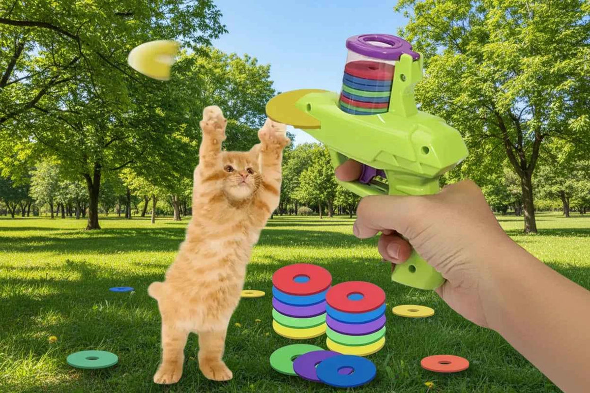 Feline Fetch gun