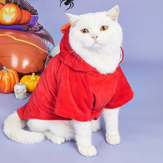 Kitty Halloween Costume