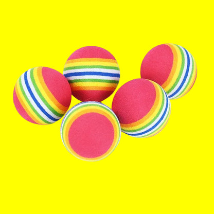 Pet Fetch Balls
