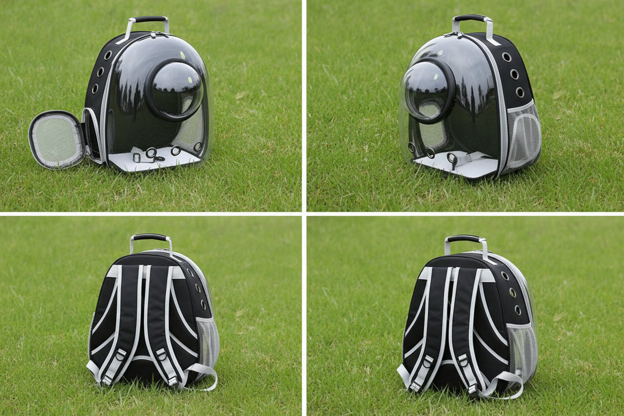 Transperant Cat Carrier