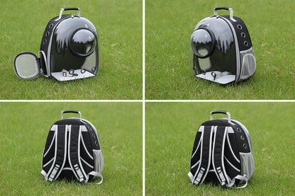 Transperant Cat Carrier