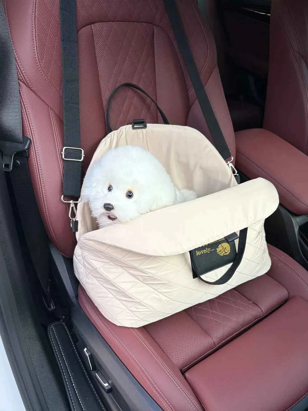 Pet Protection Travel Carrier