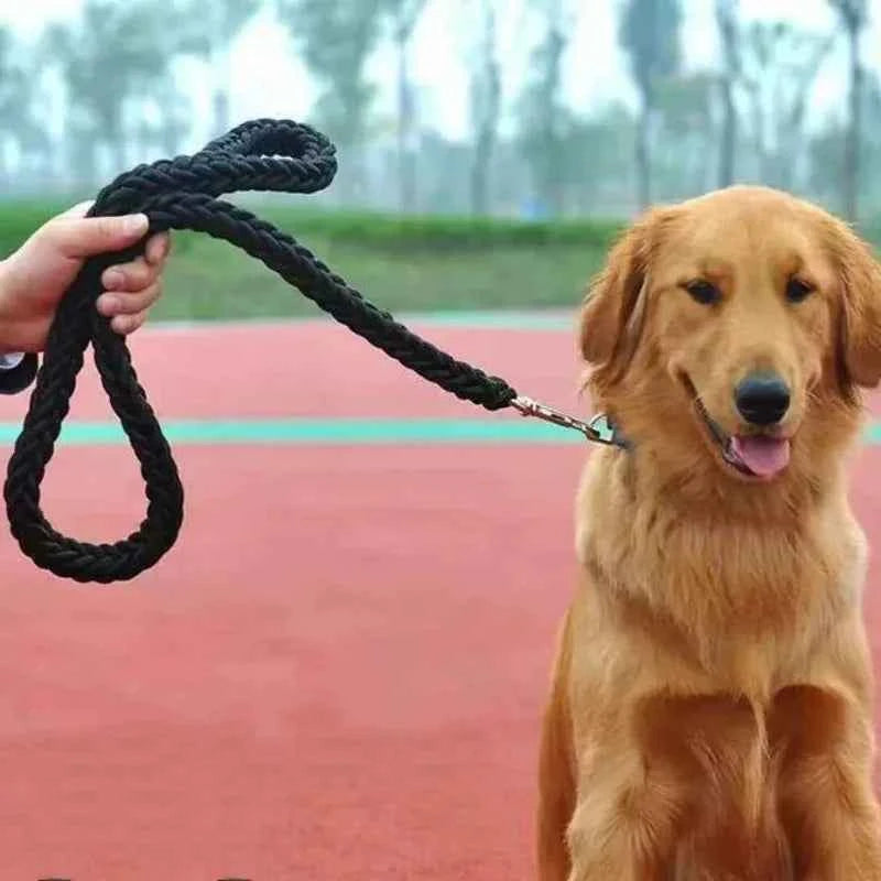Large Breed Nylon Leash