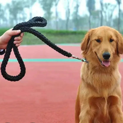 Large Breed Nylon Leash