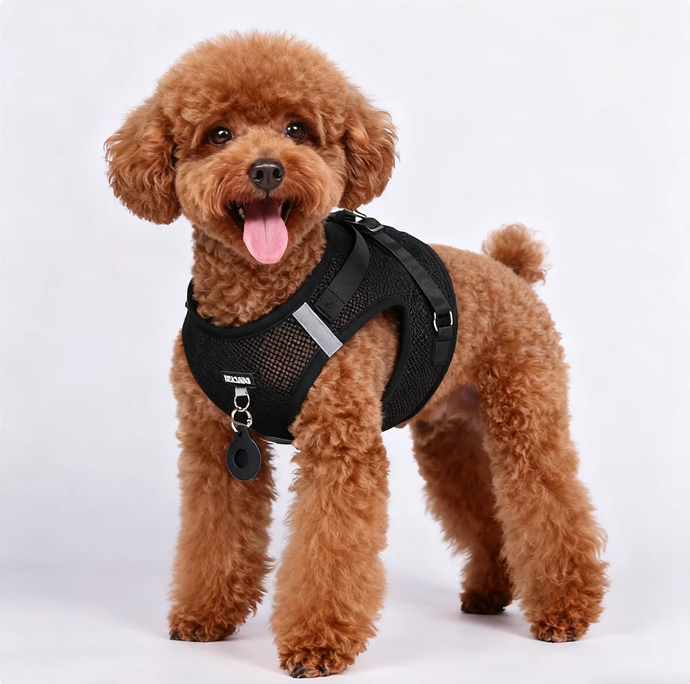 No Pull Dog Harness Vest offers comfort, control, and a secure fit for daily walks, training, hiking, and outdoor adventures with your dog.