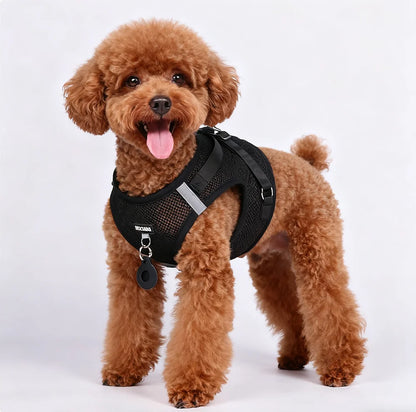 No Pull Dog Harness Vest offers comfort, control, and a secure fit for daily walks, training, hiking, and outdoor adventures with your dog.