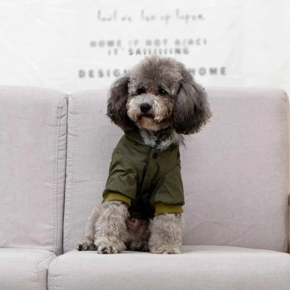 Doggy Jacket