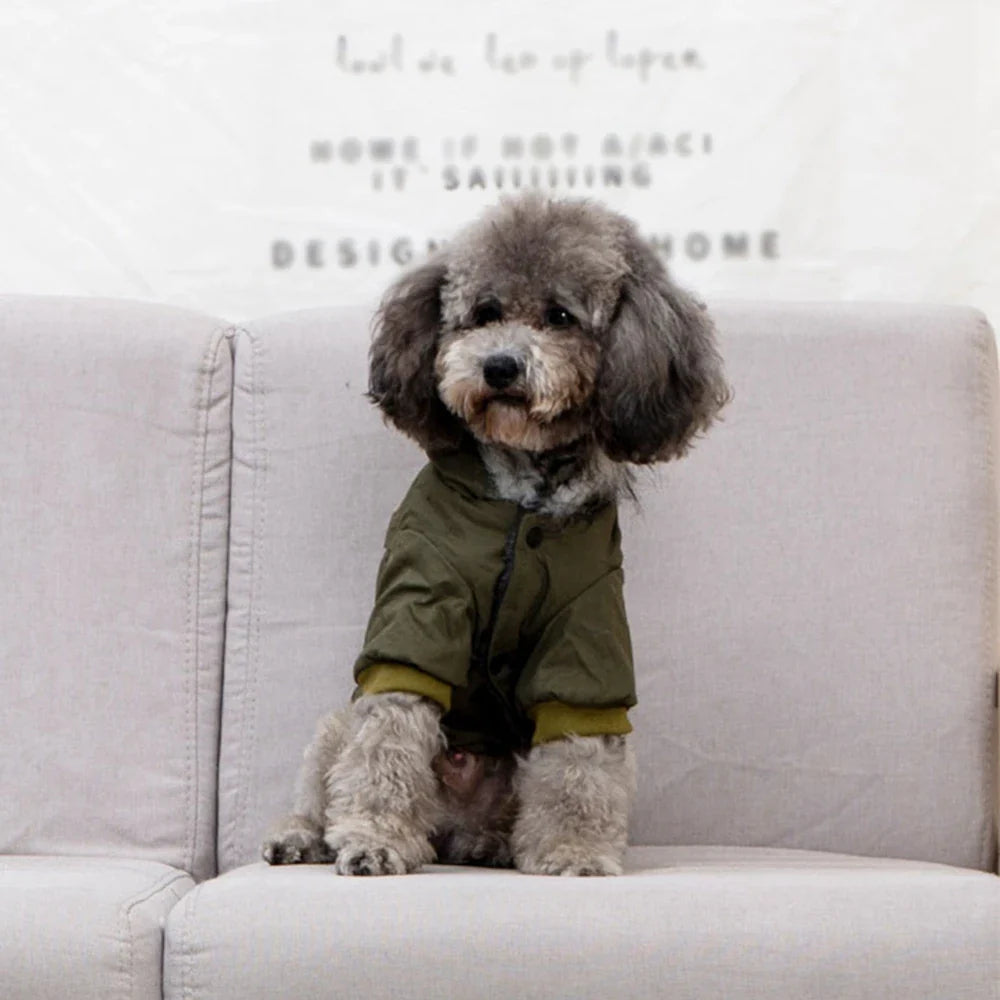 Doggy Jacket