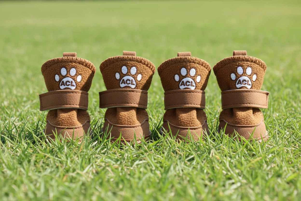 Winter Pet Boots